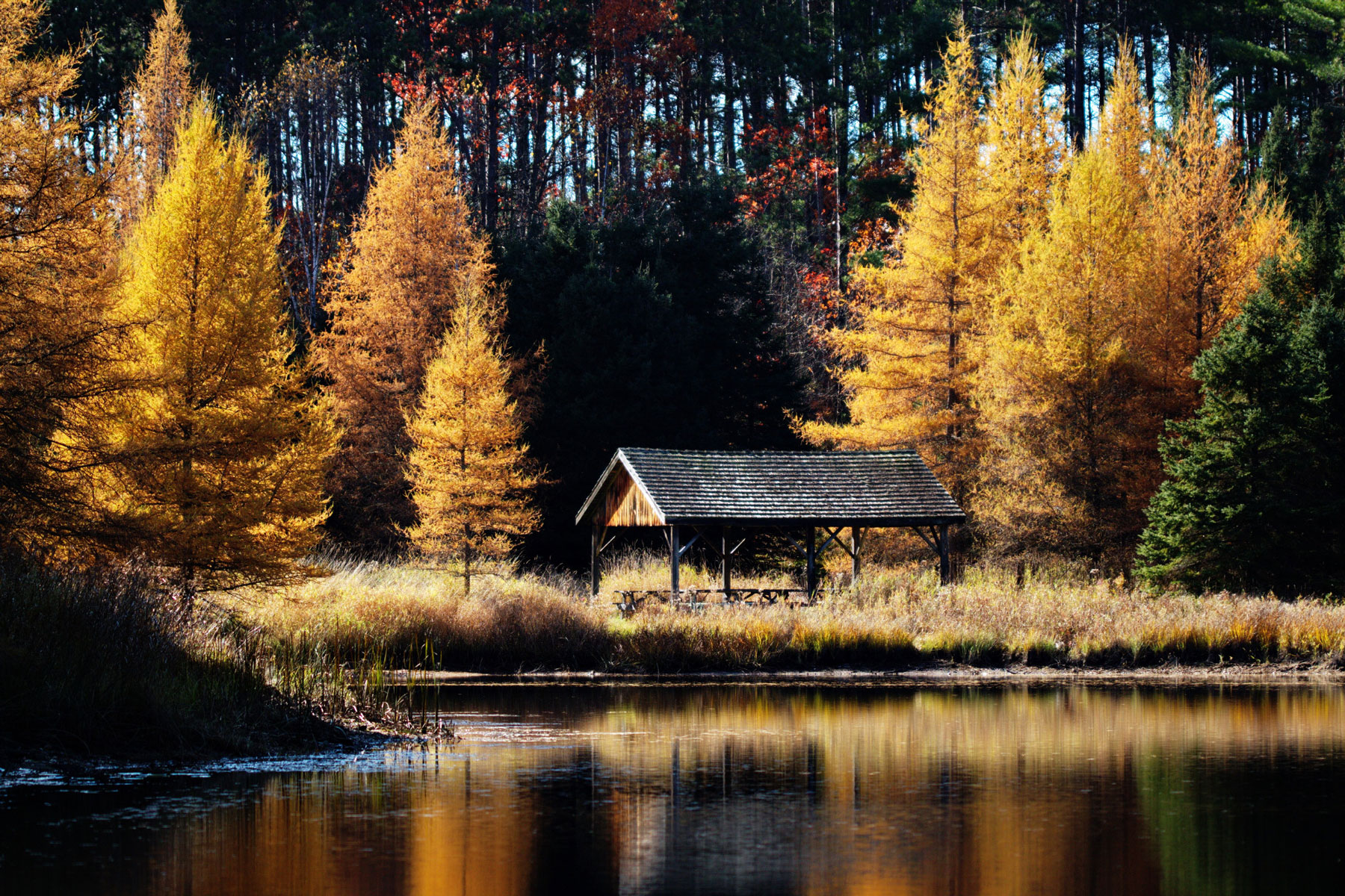 O'Hara Mill in the Fall