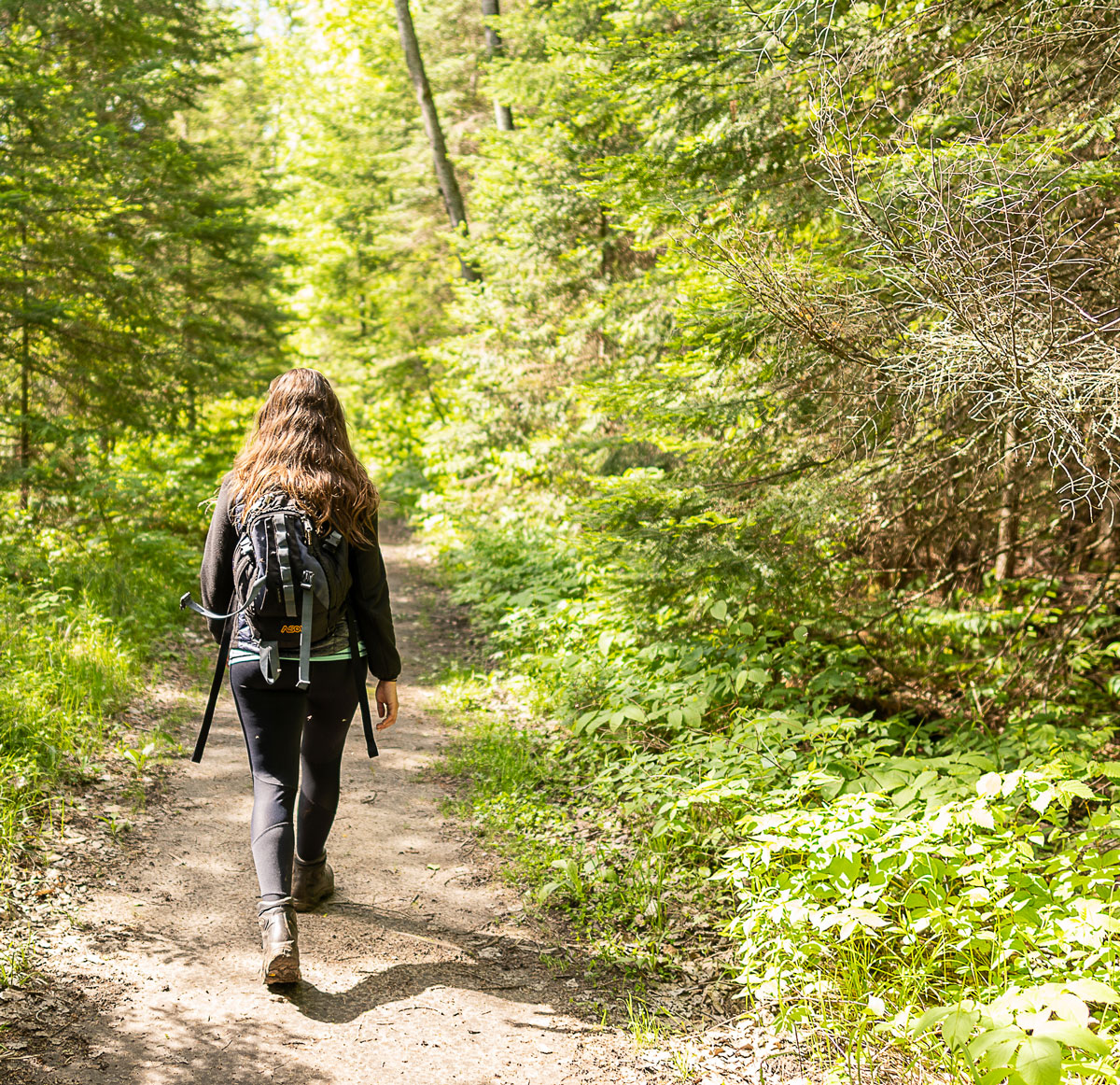 Hiking on Trail