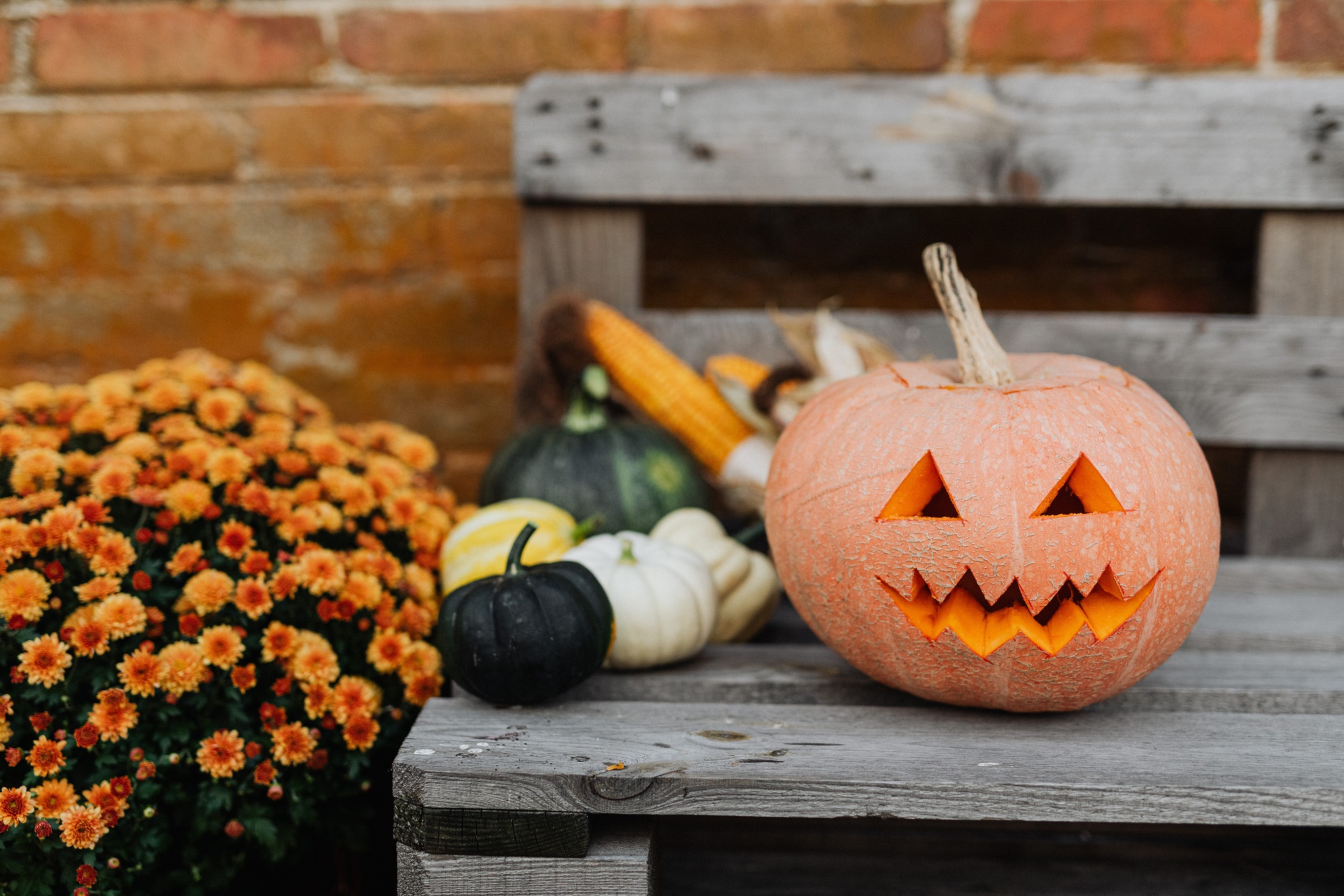 Pumpkin on a bench