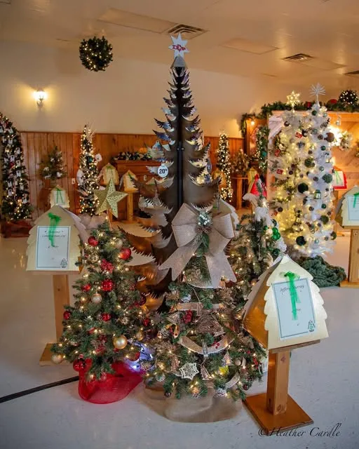 Article Header Image