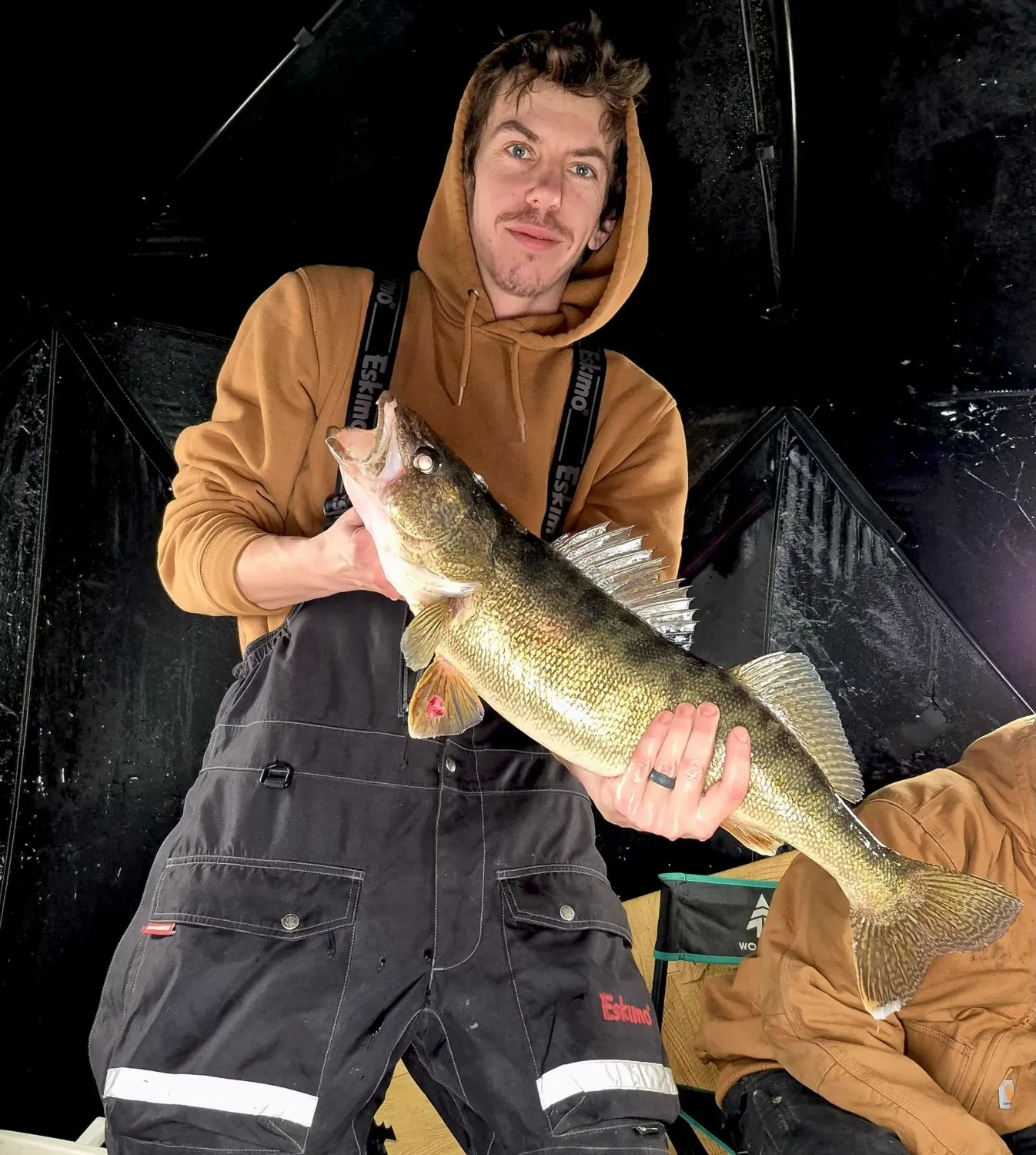 Article Header Image