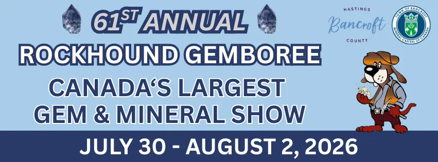 Article Header Image