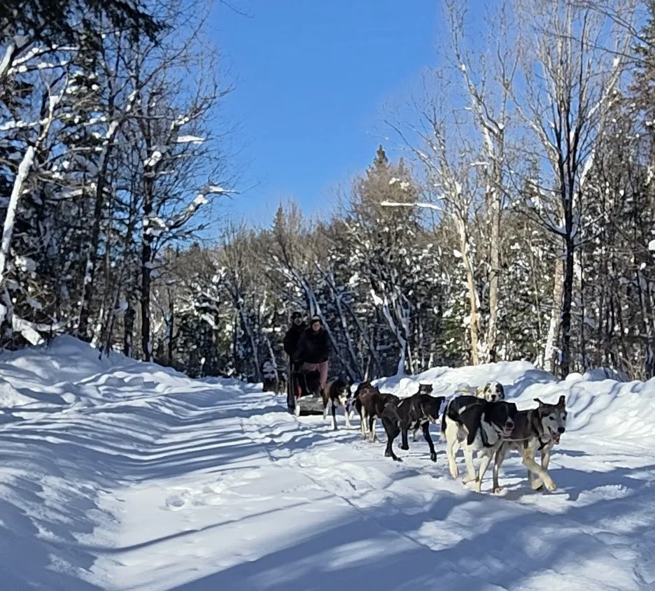 Article Header Image