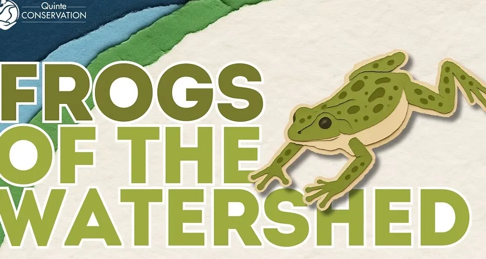 Article Header Image