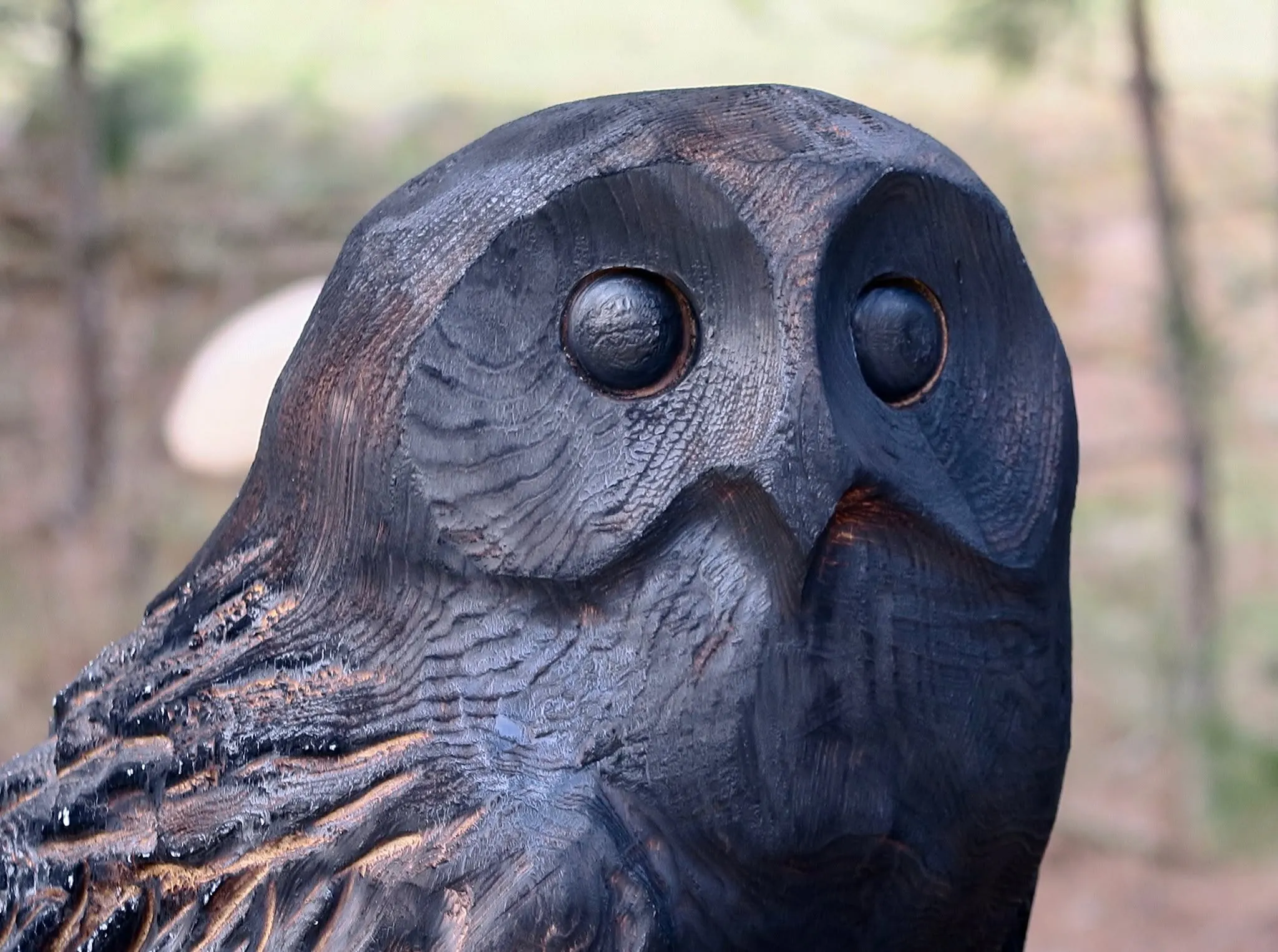 Article Header Image