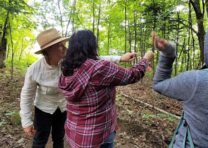 Three people in a wooded area on a trail exploring nature