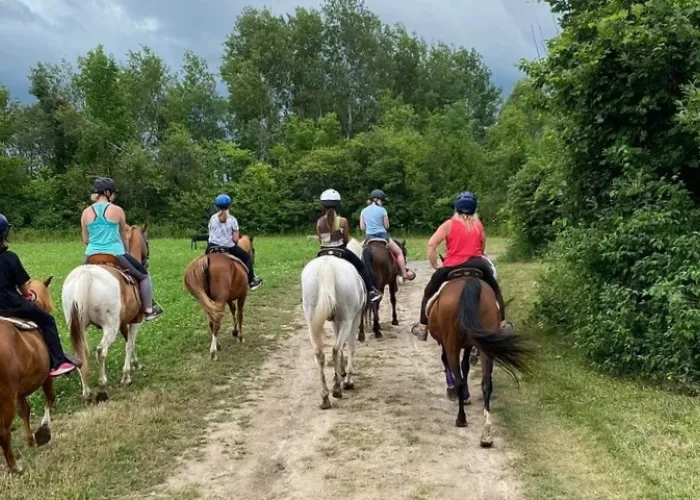 Five people riding horses along a trail