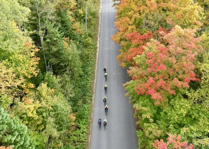 Road Cyclists riding on Country Road with Fall Colours
