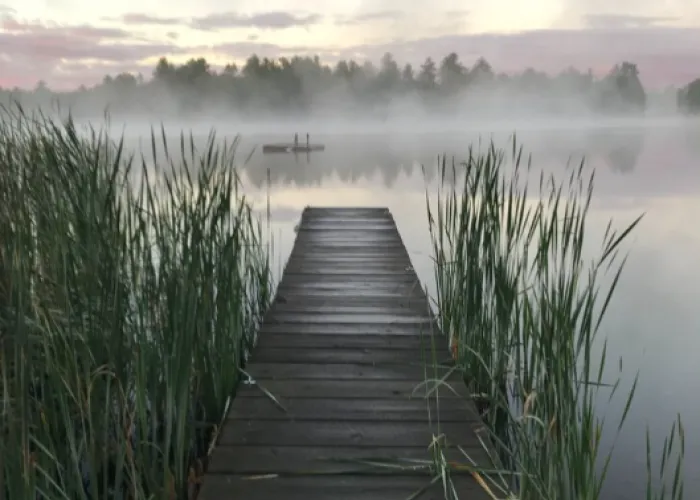 POV looking down a dock surrounded by pussy willows on a misty Weslemkoon Lake outside Bancroft, Ontario