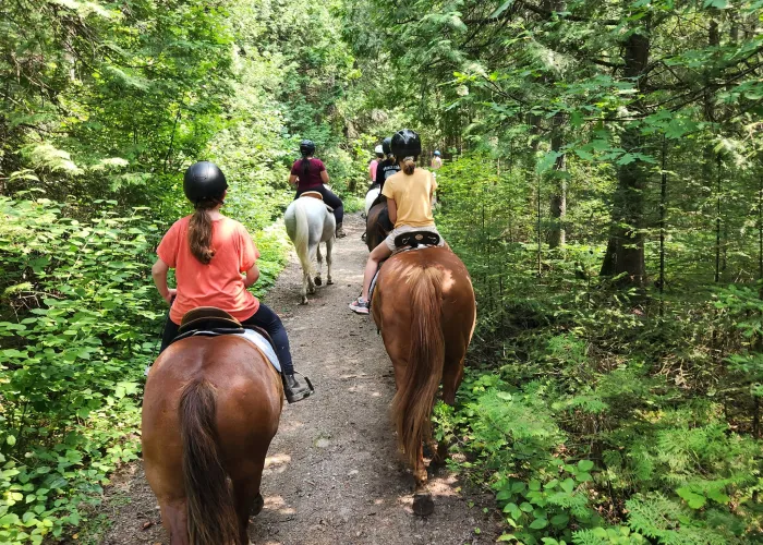 Horsin' Around Riding Ranch Trail Ride through the forest in Marmora, Ontario