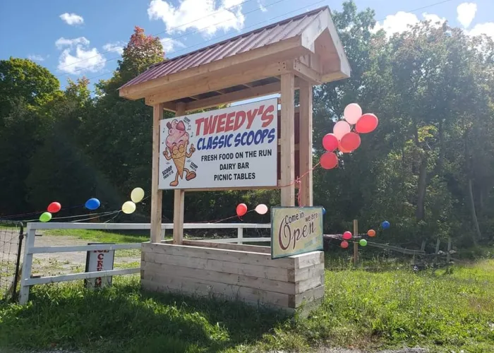 Tweedy's Classic Scoups