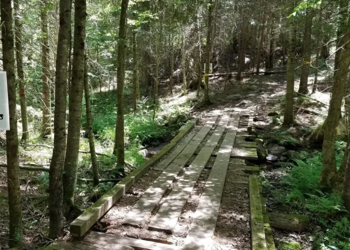 Board walk at Vance Farm Park in Bancroft Ontario