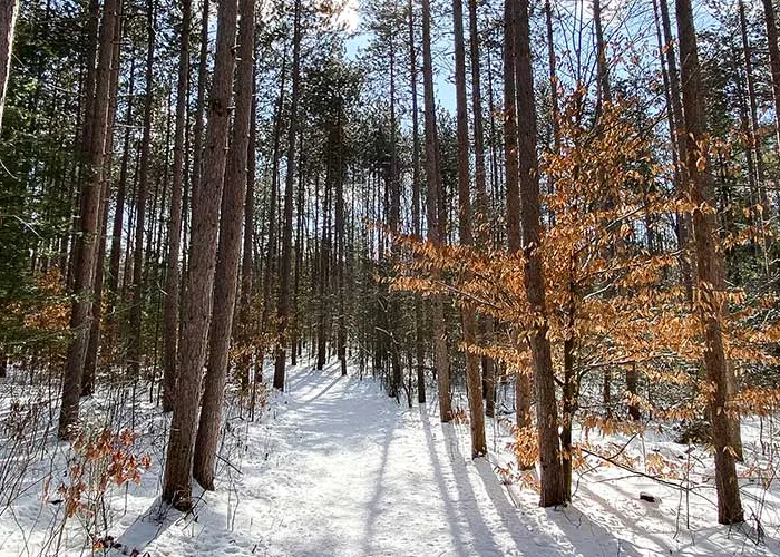 Sidney Conservation Area