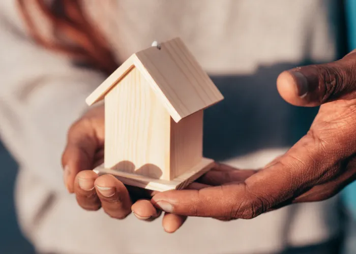 Two hands holding small wooden house