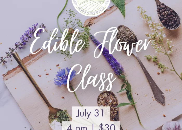 four spoons with spices on a board with flowers between them, class details, venue logo
