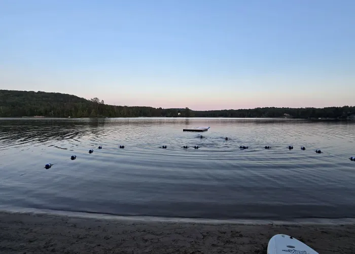 Photo of lake from a beach, nose of paddle board in bottom left, dock in centre, trees in background, photo at dusk