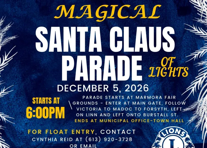 Blue background, white branches bottom left and top right corners, string lights at top and bottom, event details in white and yellow writing in centre